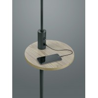 Торшер claas ip20 usb Trio 400400132