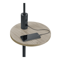 Торшер claas ip20 usb Trio 400400132