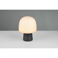 Настільна лампа steen Trio 568200132