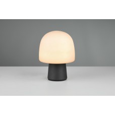 Настільна лампа steen Trio 568200132