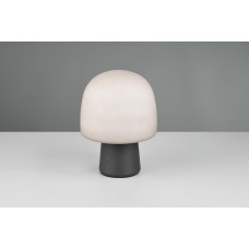 Настільна лампа steen Trio 568200132