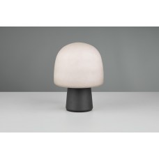 Настільна лампа steen Trio 568200132