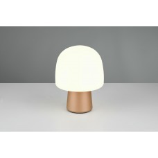 Настільна лампа steen Trio 568200165