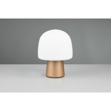 Настільна лампа steen Trio 568200165