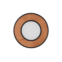 Потолочный светильник deacon Trio 626610232