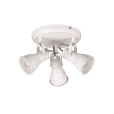 Спот steam Trio 813430327