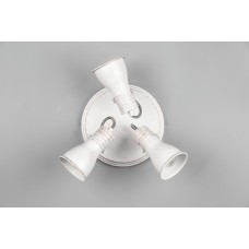 Спот steam Trio 813430327