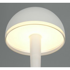 Настільна лампа mendorez (reality) Trio r54541176