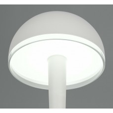 Настільна лампа mendorez (reality) Trio r54541176