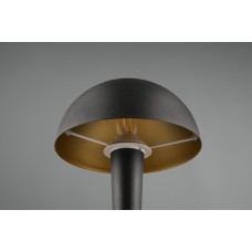 Настільний світильник canaria (reality) Trio r59561180