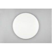 Потолочный светильник blanca (reality) Trio r64141101