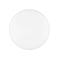 Потолочный светильник blanca (reality) Trio r64141101