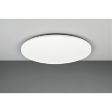 Стельовий світильник scott (reality) Trio r64381031