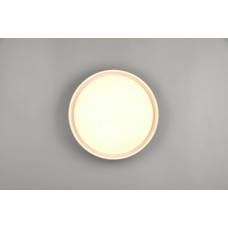 Стельовий світильник felis (reality) Trio r64391031