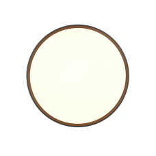 Стельовий світильник spacy (reality) Trio r64851132