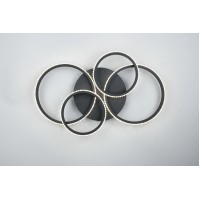 Потолочный светильник cires (reality) Trio r67364132