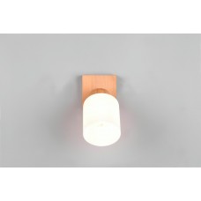 Спот assam (reality) Trio r81111030