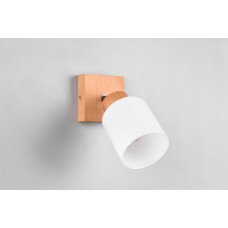 Спот assam (reality) Trio r81111030