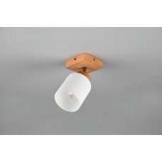 Спот assam (reality) Trio r81111030