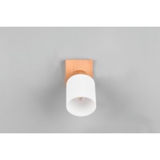 Спот assam (reality) Trio r81111030