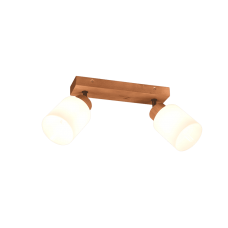 Спот assam (reality) Trio r81112030