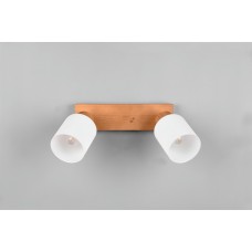 Спот assam (reality) Trio r81112030