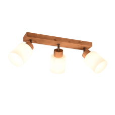 Спот assam (reality) Trio r81113030