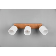 Спот assam (reality) Trio r81113030