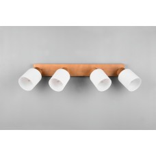 Спот assam (reality) Trio r81114030