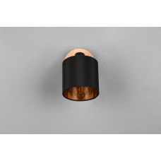 Спот tommy (reality) Trio r81331030