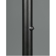 Настільна лампа fiore Trio 454610132