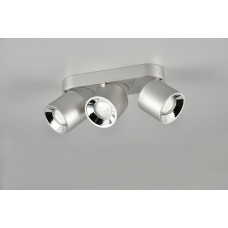 Потолочный светильник guayana Trio 651000307