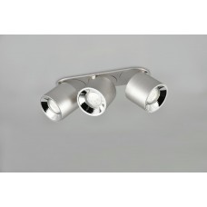 Потолочный светильник guayana Trio 651000307