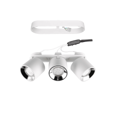 Потолочный светильник guayana Trio 651000331