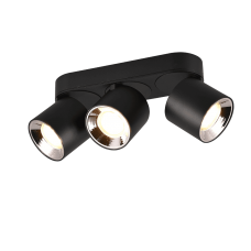 Потолочный светильник guayana Trio 651000332