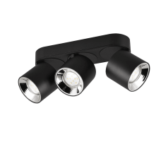 Потолочный светильник guayana Trio 651000332