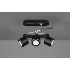 Стельовий світильник taurus Trio 652910332