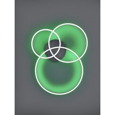 Потолочный светильник winona rc rgbw Trio 670810632