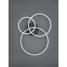 Потолочный светильник winona rc rgbw Trio 670810632
