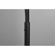 Торшер reed (reality) Trio r41031532