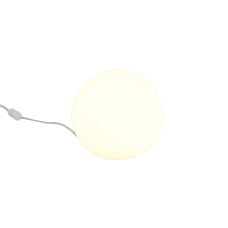 Настольный светильник pingpong (reality) Trio r5220-07