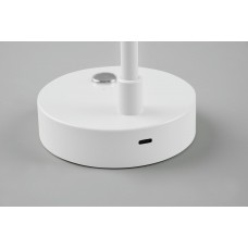 Настольный светильник lenny (reality) Trio r52661101