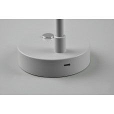 Настольный светильник lenny (reality) Trio r52661111