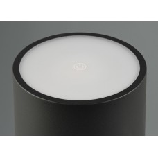 Зовнішний світильник fernandez (reality) Trio r54096132