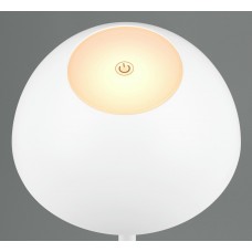 Вуличний настольний світильник акб ricardo (reality) Trio r54106131