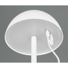 Вуличний настольний світильник акб ricardo (reality) Trio r54106131