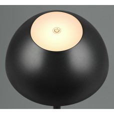 Вуличний настольний світильник акб ricardo (reality) Trio r54106132