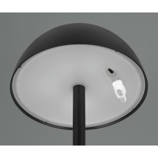 Вуличний настольний світильник акб ricardo (reality) Trio r54106132