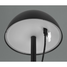 Вуличний настольний світильник акб ricardo (reality) Trio r54106132