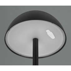 Вуличний настольний світильник акб ricardo (reality) Trio r54106132